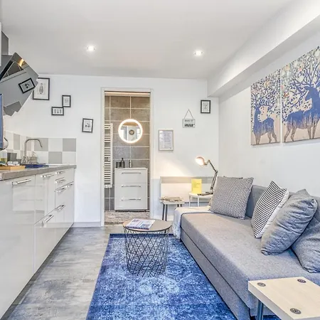 Appartement Le Petit Parfait Confort Gare Hamac Netflix Grenoble