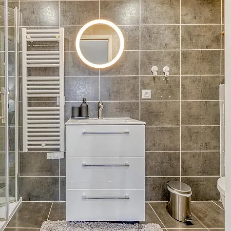 Appartement Le Petit Parfait Confort Gare Hamac Netflix Grenoble